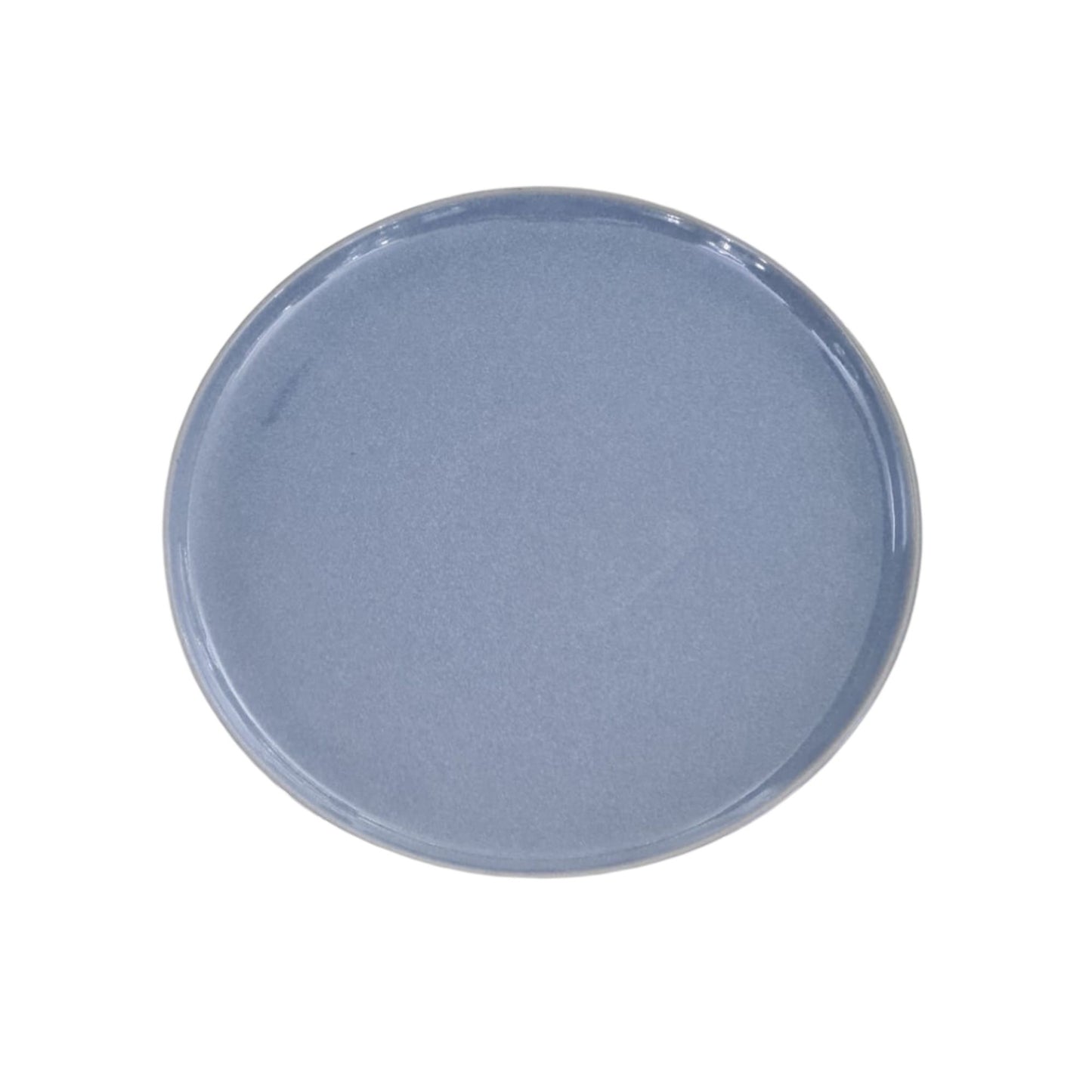 27cm Performance Flat Plate